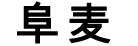 阜麦
